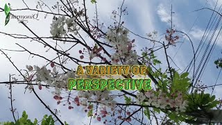 敷地内外の様子　HarmoniQ Residence Sriracha