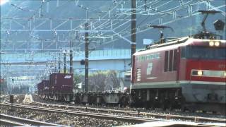 3095レ EF510 1+コキ