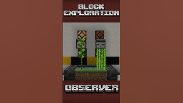 The Observer (explained) | Block Exploration Video #minecrafttutorial #redstone