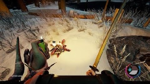 The Forest old gun ammo duplication (solo) 2023