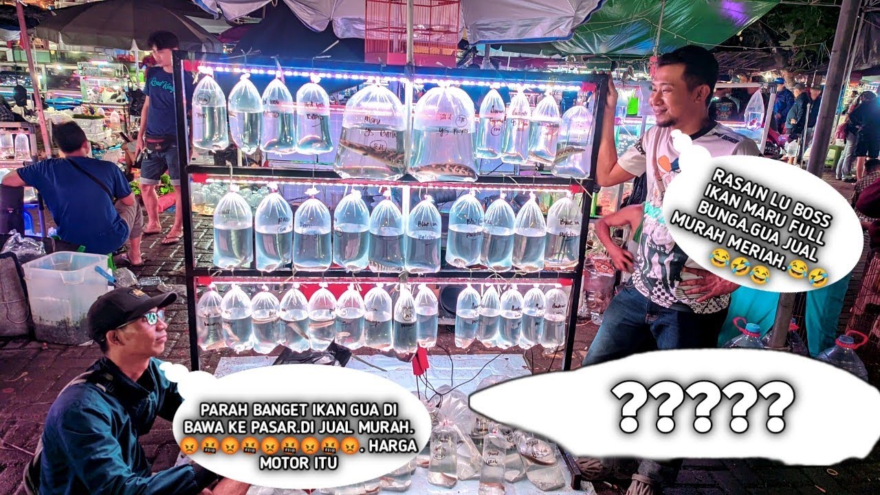 REVIEW IKAN ISTIMEWA... BANG THREE A EMOSI IKAN KE SAYANG DI BAWA KE PASA. DI JUAL HARGA MURAH.😭😭😭😭.