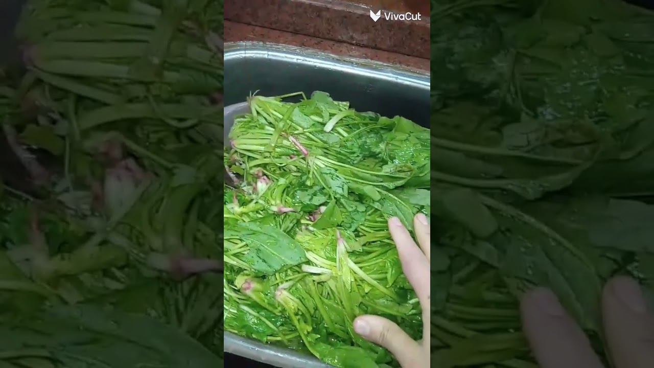 ١٤ يناير ٢٠٢٦