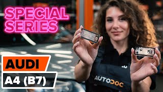 How to replace Number Plate Light on AUDI A4 (8EC, B7) - video tutorial