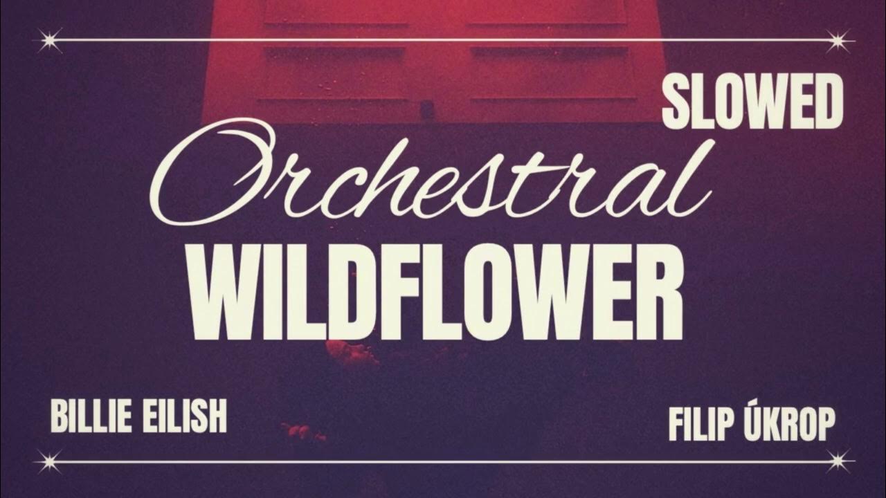 WILDFLOWER - Orchestral Remix (Slowed) WILDFLOWER - Orchestral Remix (Slowed)