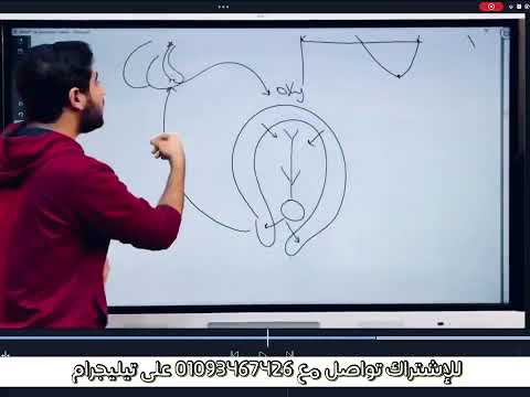 المحاضرة النارية جميع افكار الهرمونات الجدول في الوصف