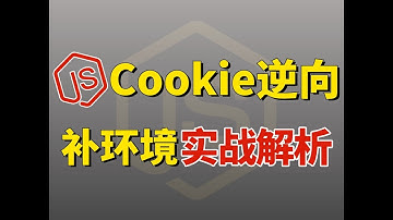 【略有难度】Cookie逆向补环境实战解析！Python爬虫JS逆向进阶实战【附代码】