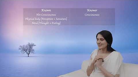 Atma Nirvriti Session 9  - Nirvishayam Bodham - Chapter 2  - Part 2  - Verses 4,5,6 [VM]