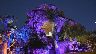 MORE LIGHTS at Tianas Bayou Adventure! - Disneyland Construction Update 2024 | 9/29/24