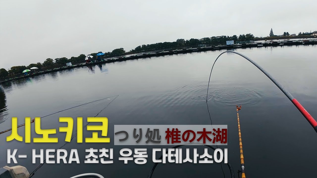 [떡붕어 전층낚시] 시노키코 주말낚시 つり処 椎の木湖