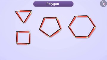 Polygons | Part 1/3 | English | Class 6