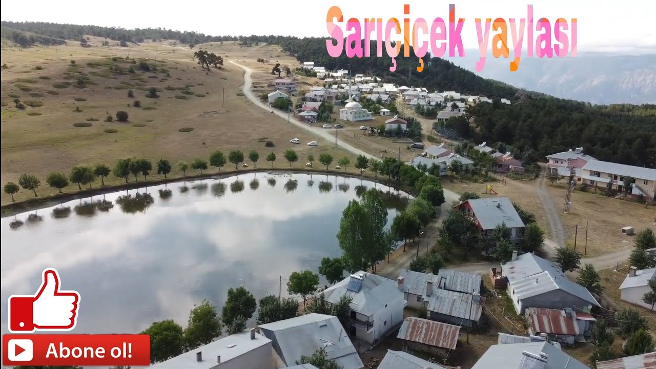 Sivas koyulhisar sarıçiçek yaylası  (LÜTFEN ABONE OLALIM)