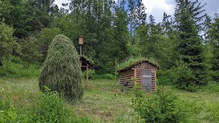 Bushcraft shelter for survival in the wild forest after a year. Fried carp and boletus.