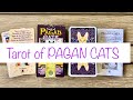 Tarot of Pagan Cats-タロット オブ ペイガン キャッツ-【タロットカード紹介動画】#Tarotofpagancats #タロットオブペイガンキャッツ #猫のタロット