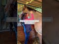 When you trust the process ❤️ #horse #equestrian #equine #reiki #energy #energyhealer #soulenergy
