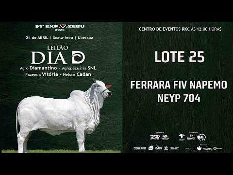 LOTE 25   FERRARA FIV NAPEMO   NEYP 704