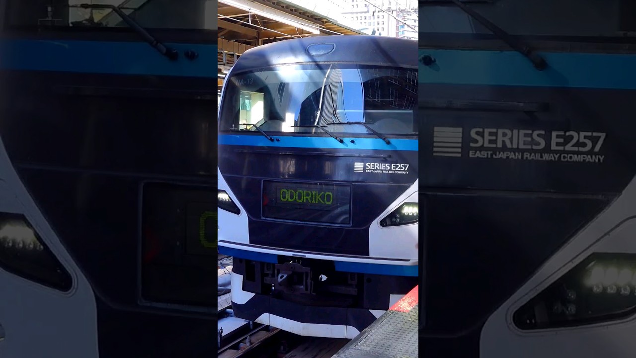 Music Horn : E257 series ODORIKO Limited Express at Tokyo Station, February 2024