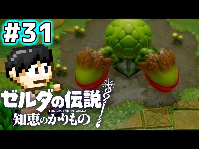 Live commentary] This is the real Legend of Zelda!? A live