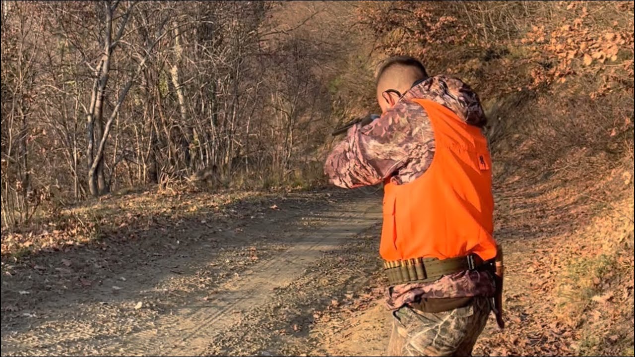 Wild Boar Hunting Season 23 24 plott Hound wild-boar-hunting-season-23-24-plott-hound