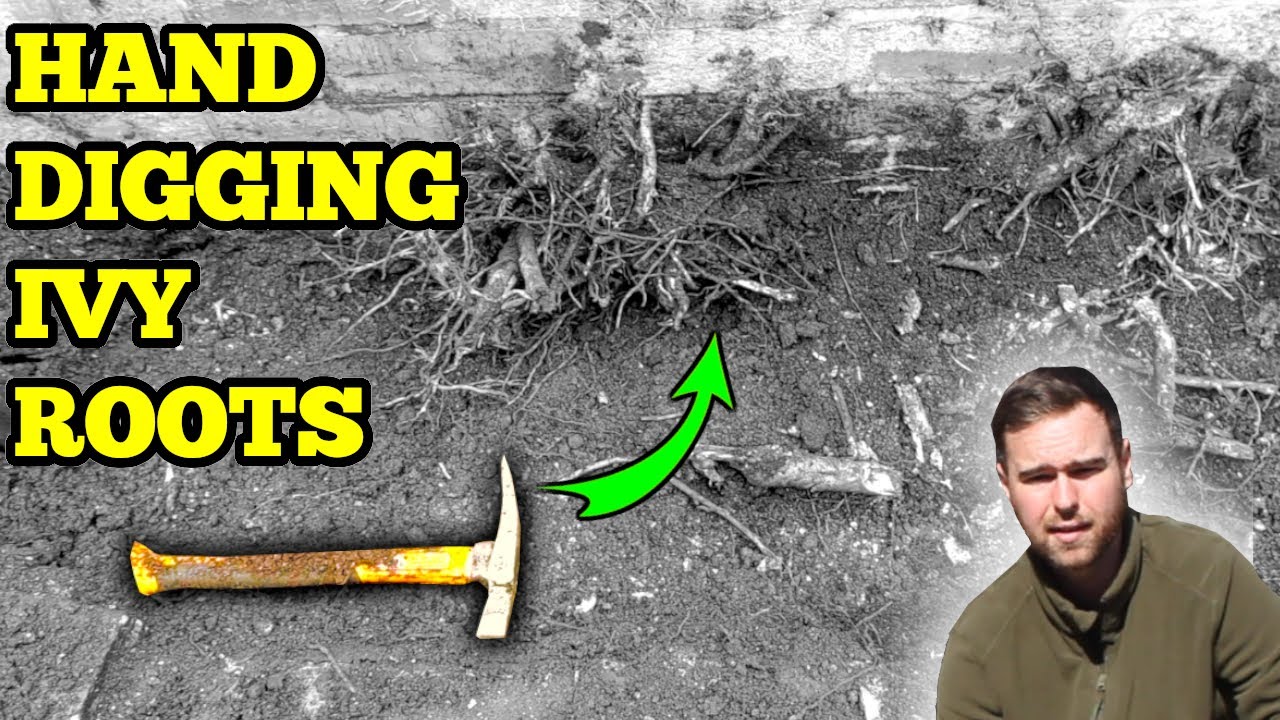 How much did I charge? Running a gardening business YouTube