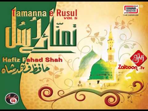 Pyaare Nabi Ke Ishq   Hafiz Fahad Shah