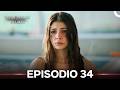Segredos de Família Episódio 34 (Dublagem em Português)
