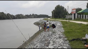 CÂU CÁ NGÁT CỐNG THÂU RÂU TRÀ VINH