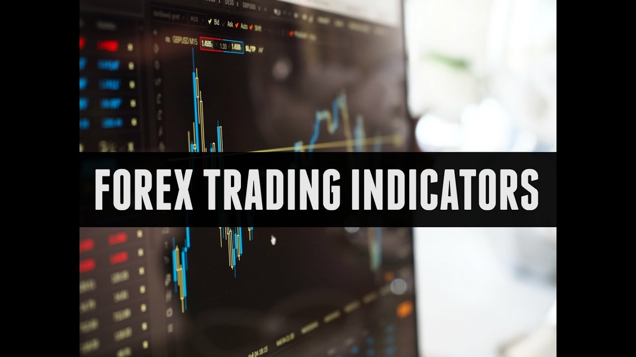 241 forex trading system