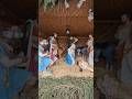 Baby Jesus in Nativity House 2024 #babyjesus #christmas #season #shorts