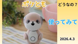 ポケとも ってどうなの 2026.4.3 - YouTube