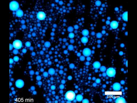 Sustained Oscillator Droplets