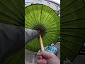 Wooden Umbrella From Japan