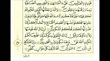 سورة الحج-الشيخ علي الحذيفي-رواية قالون