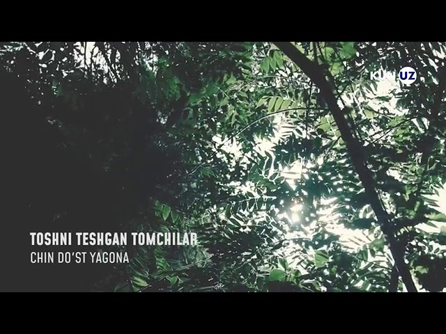 Toshni teshgan Tomchilar