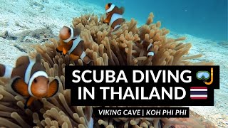 SCUBA DIVING 🤿 IN THAILAND 🇹🇭 | Viking Cave in Phi Phi Islands 🐡⛰️🌊