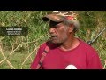 Piégeage des cochons en Nouvelle-Calédonie (PN - NC TV 2015)