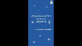 ボラカメさんフォトグラフコレクション（広報カメラ協力員２０２２年１月撮影）