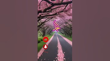 ما تيسر من سورة النحل للشيخ خالد الجليل