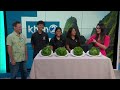 Waipahu High's student-grown lettuce hits school plate lunches