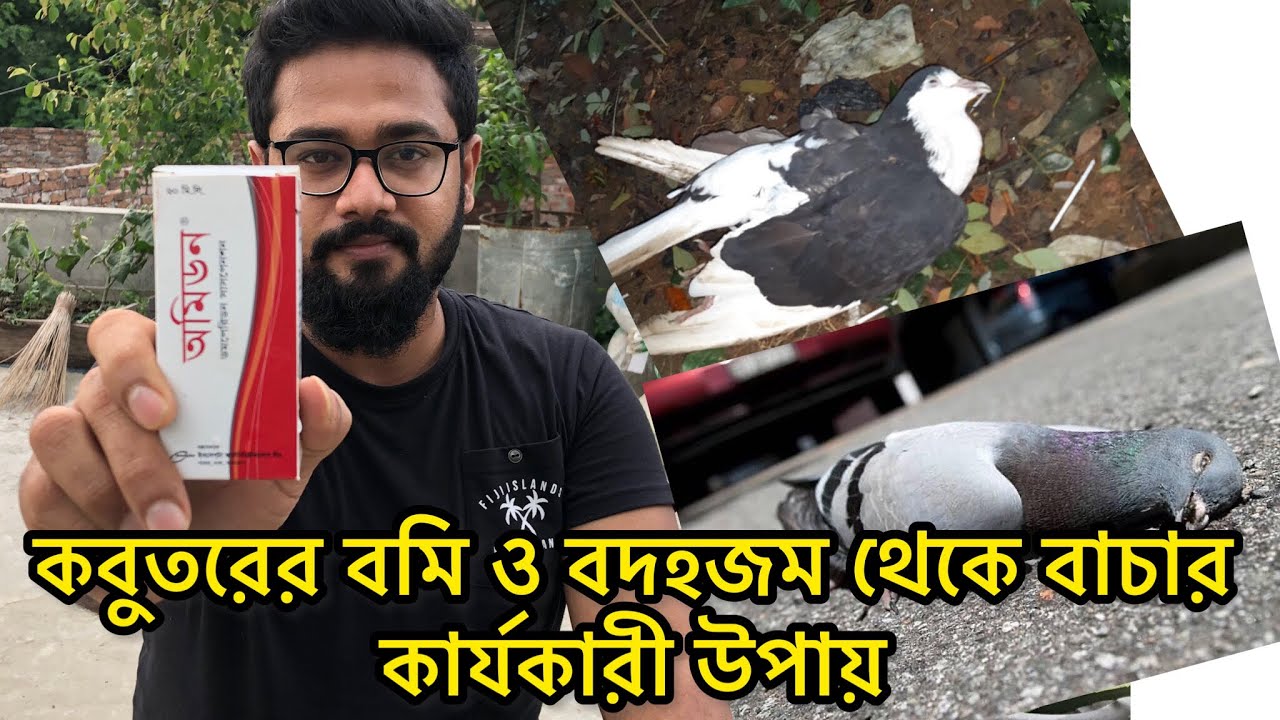 কবুতরের বমি ও বদহজমের চিকিৎসা-কবুতর বমি করার কারণ-কবুতরের বমি, সবুজ পায়খানা বা বদহজমের কারণ