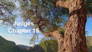 The Book of Judges Chapter 15 - New King James Version (NKJV) - Theatrical Audio Bible