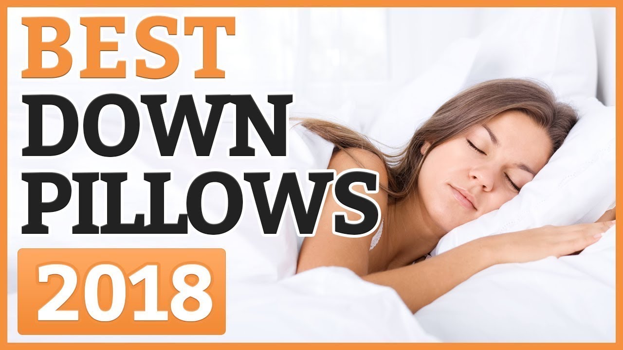 Best Down Pillows 2020 TOP 11 Down Pillow YouTube