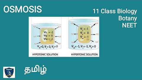 Osmosis in Tamil | Transport in Plants | Botany I Class 11 |  TNSCERT| NEET | Science Easy Tech