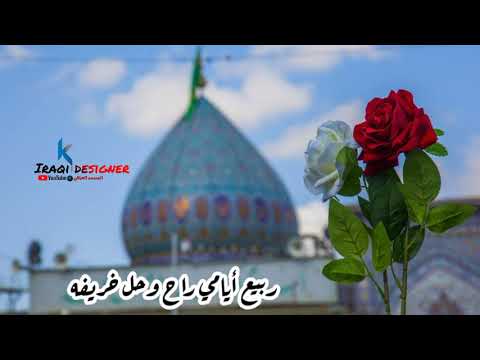 ستوريات ولادة إلامام المهدي ع سلوان الناصري اشتركو بالقناة ليصلكم الجديد ودعما لنا للاستمرار 