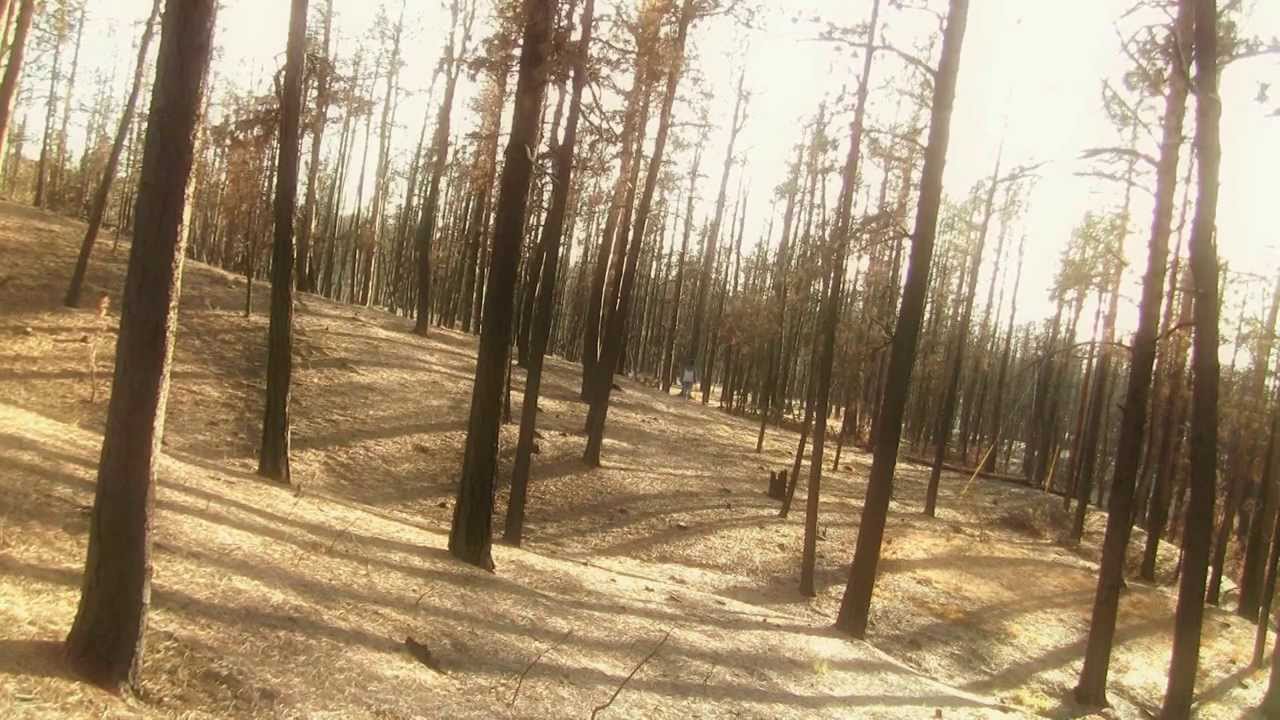 Tom Day: Echoes (non-official) music video