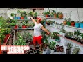 TOUR POR MI JARDÍN CON MÁS DE 1.000 PLANTAS