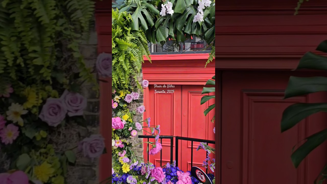 Fresh floral trail  created by Toronto’s favourite florists. 