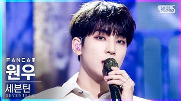 [안방1열 직캠4K] 세븐틴 원우 