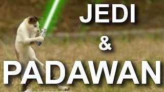 Jedi Padawan - Parole Danimaux