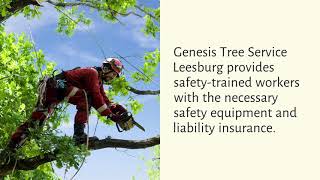 Genesis Tree Service Leesburg Tree Trimming - Free Estimates