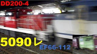 5090レ EF66-112牽引DD200-4無動力回送 コンテナ輸送50周年記念コンテナ積載